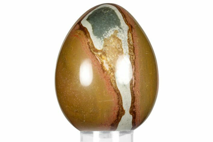 Polished Polychrome Jasper Egg - Madagascar #359067